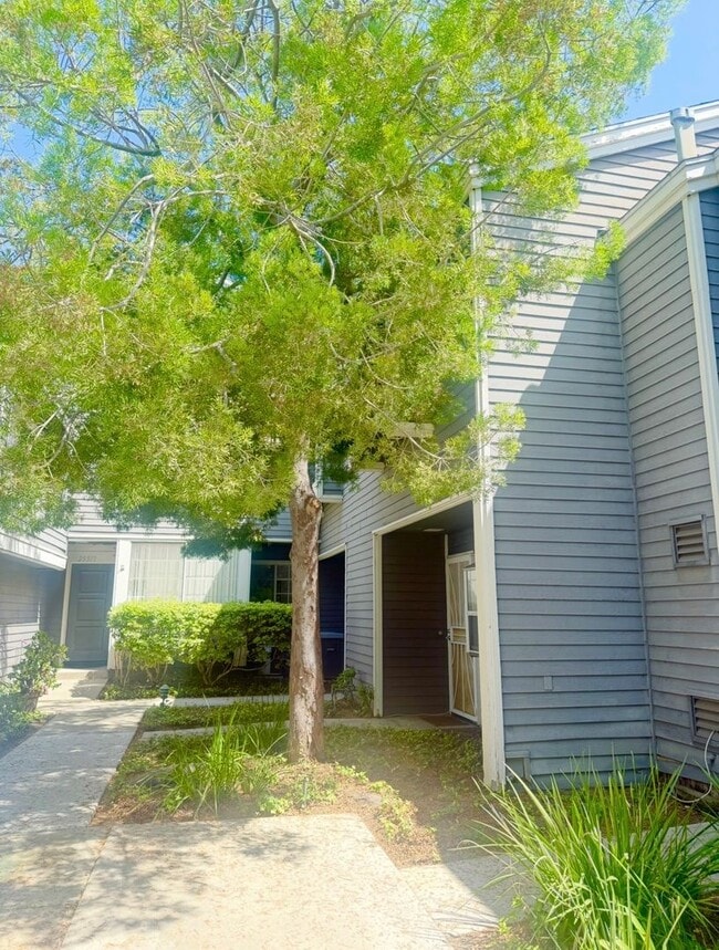 Building Photo - 25367 Pine Creek Ln