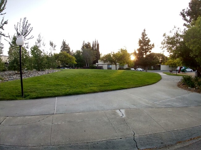 The main playground is right in front of the house. It has two children play-sets on the north and southwest of this green area. - 1102 Pomeroy Avenue