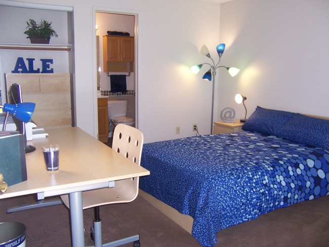 Remodeled Studio - The Villager Studio Apartments