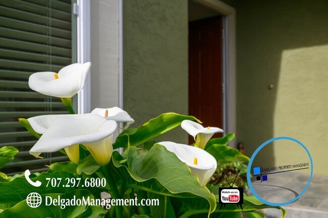 Building Photo - Benicia! GORGEOUS Southampton Hills home