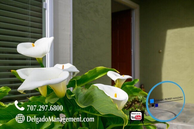 Foto del edificio - Benicia! GORGEOUS Southampton Hills home