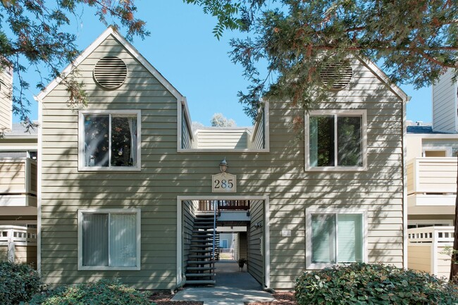 Fabulous 2 bedroom condo for rent in San R... - Fabulous 2 bedroom condo for rent in San R...