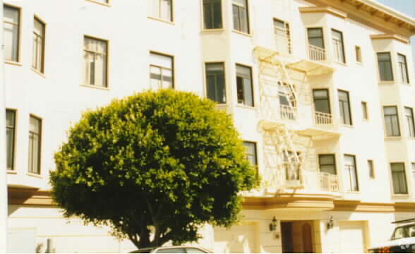 Foto del edificio - 290 Alhambra St