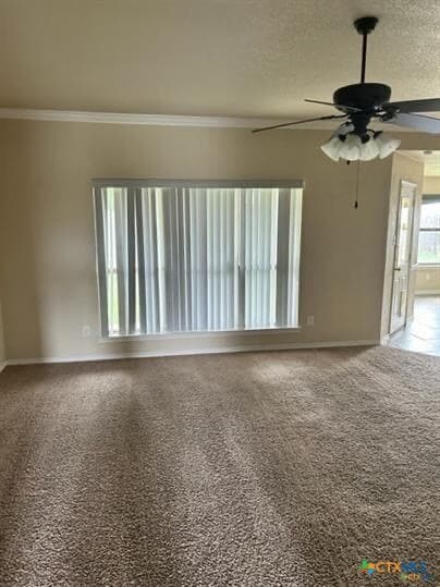 Building Photo - 2517 Vernice Dr