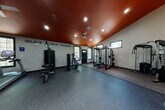 This dedicated fitness facility is thoughtfully designed to accommodate a full range of workout routines. The main training area features a striking burnt-orange ceiling accented by recessed lighting and a ceiling fan, creating an energetic atmosphere. Light-colored walls contrast boldly with the dark rubber flooring throughout, while the motivational phrase "Believe. Achieve. Conquer." spans one wall, reinforcing the space's purpose-driven character.

The primary workout zone is well-appointed with a power rack, cable machines, a weight bench, and a dumbbell rack offering a full range of free weights. A secondary area hosts cardio equipment, including an elliptical trainer, alongside a stability ball rack and medicine ball storage. Natural light enters through several windows, and a black entry door with decorative glass panels provides access from outside.

A transitional zone features double-height ceilings, a staircase, and dark accent walls adorned with decorative metallic wall art, adding an unexpected design element. Additional storage and utility doors are accessible from this area. The cohesive use of dark tones, industrial-style equipment, and purposeful layout gives the entire space a professional, motivating ambiance suited for serious training.