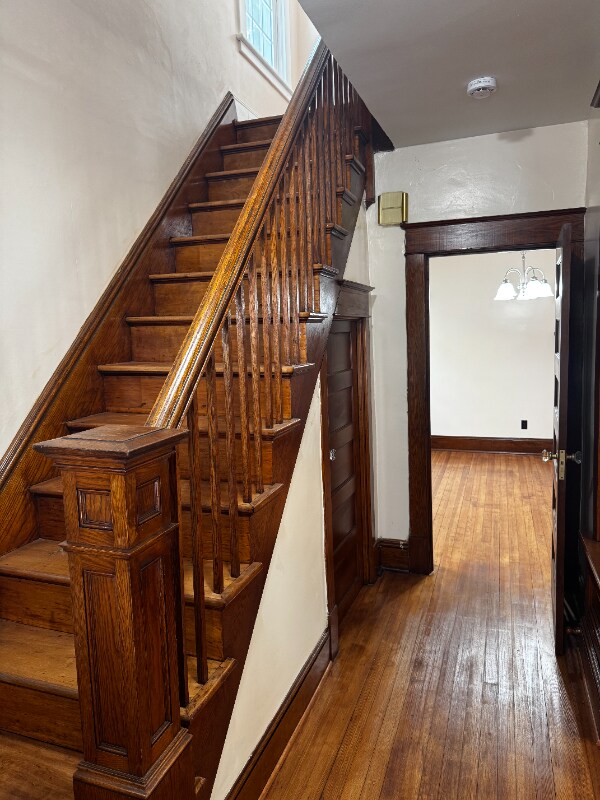 Foto del edificio - 559 Myrtle Ave