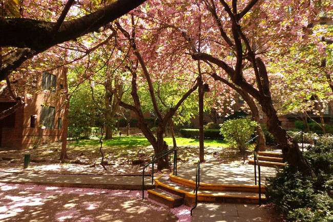 Foto del interior - Sunnyside Garden Apartments