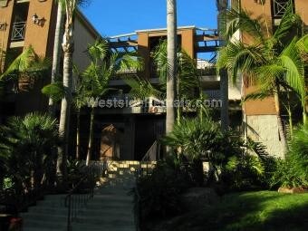 Foto principal - 1756 Essex St