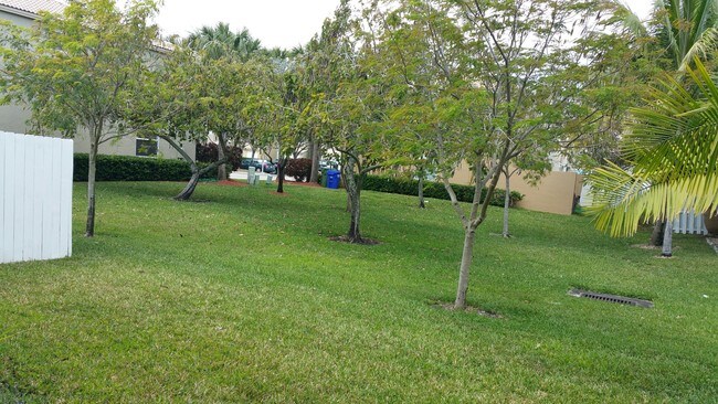 backyard - 15419 NW 14th St