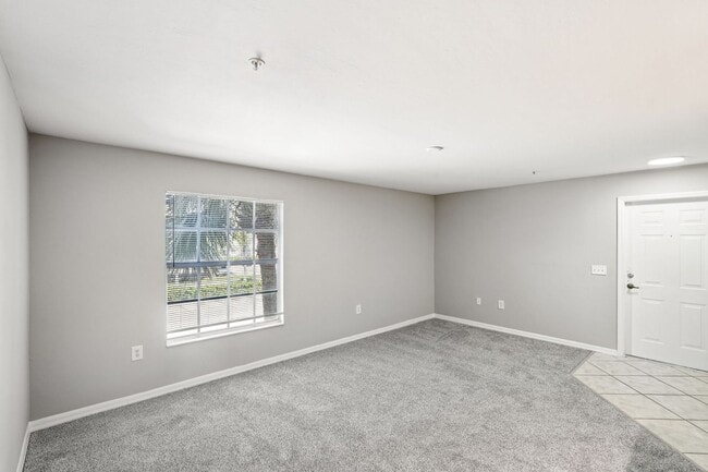 Interior Photo - Coral Cove