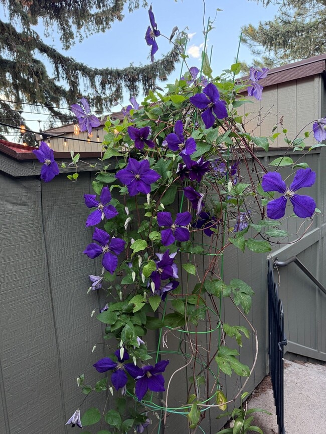 Building Photo - 4602 Greenbriar Ct