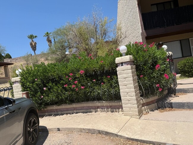 Foto del edificio - 797 W Mesa Verde Dr
