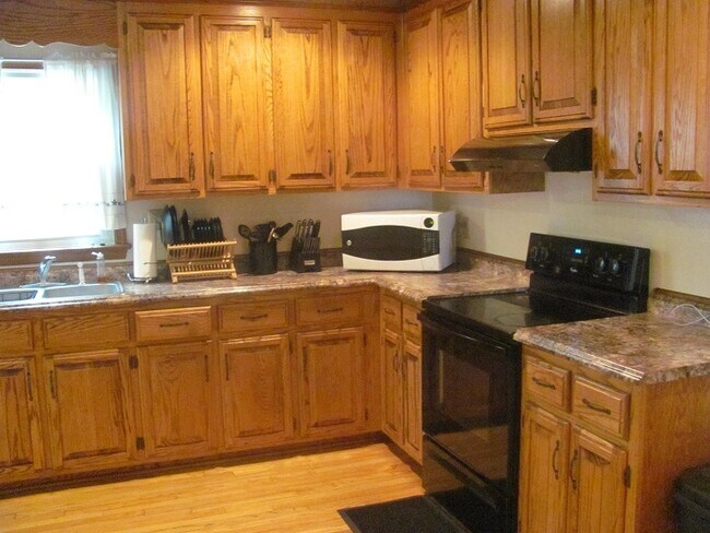 Building Photo - 4 BR home for rent, private wooded views i...