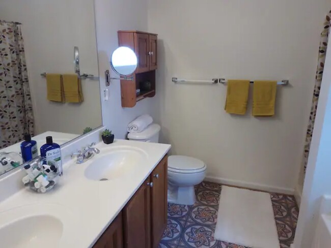 owners suite bath - 4 Allison Sutton Dr