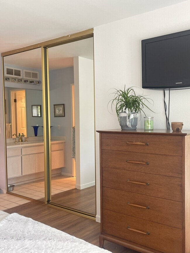Large Closet - Mirrored Doors - 4495 Caminito Cuarzo