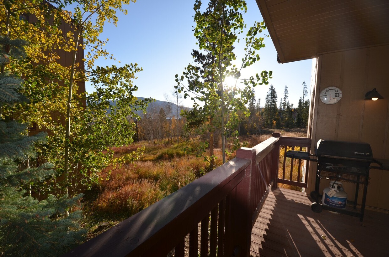 Long Winter Lease! Fully Furnished, on bu... - Long Winter Lease!  Fully Furnished, on bu...