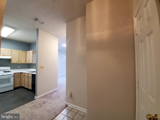 Foto del edificio - 1704 Lake Shore Crest Dr