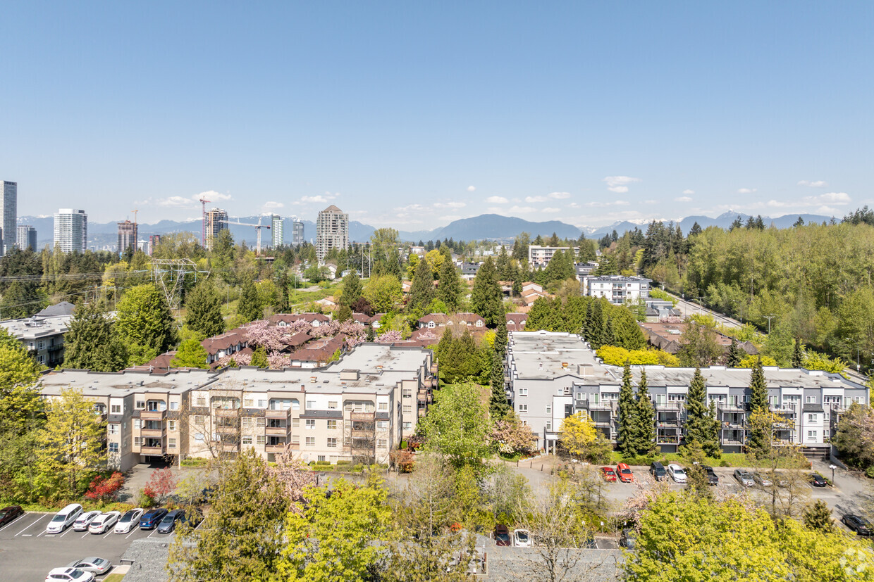 Aerial Photo - Green Timber