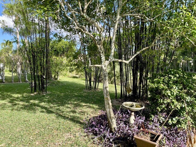 Foto del edificio - 3366 Harness Cir