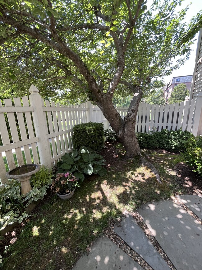 Building Photo - 10213 Willow Mist Ct