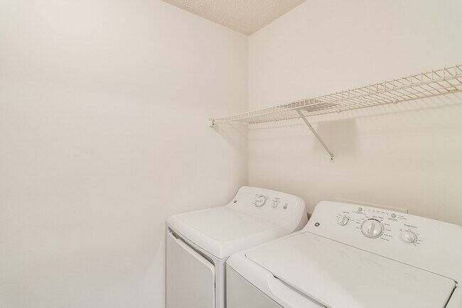 Foto del interior - Looking Glass Meadows