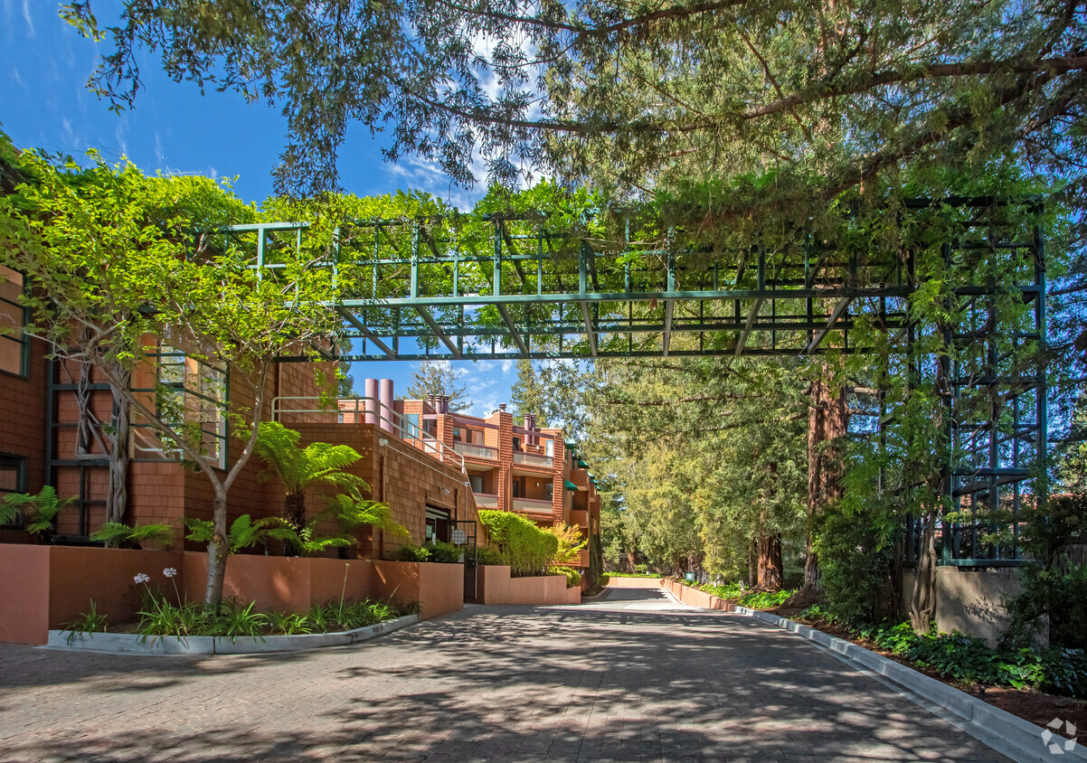 Building Photo - Palo Alto Redwoods