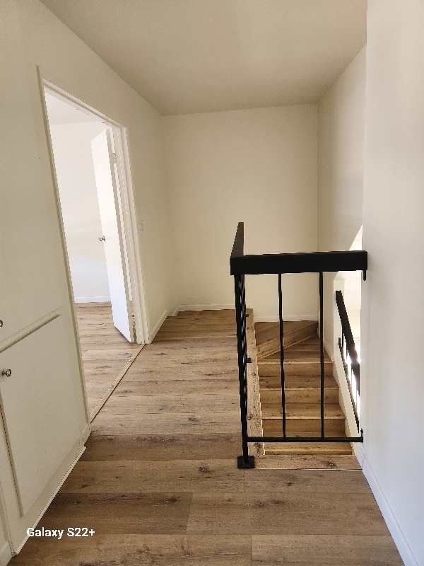 Building Photo - 10774 Cariuto Ct