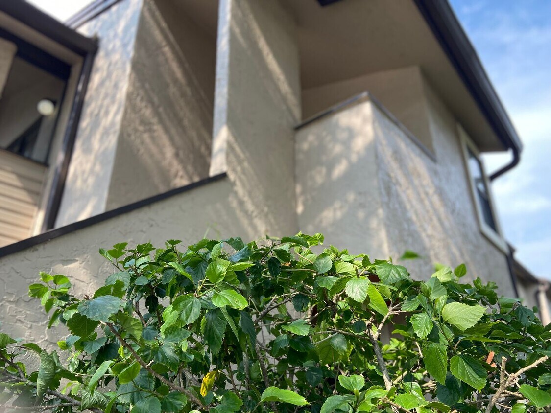 Primary Photo - 2BD/2BA Condo in Winter Park!