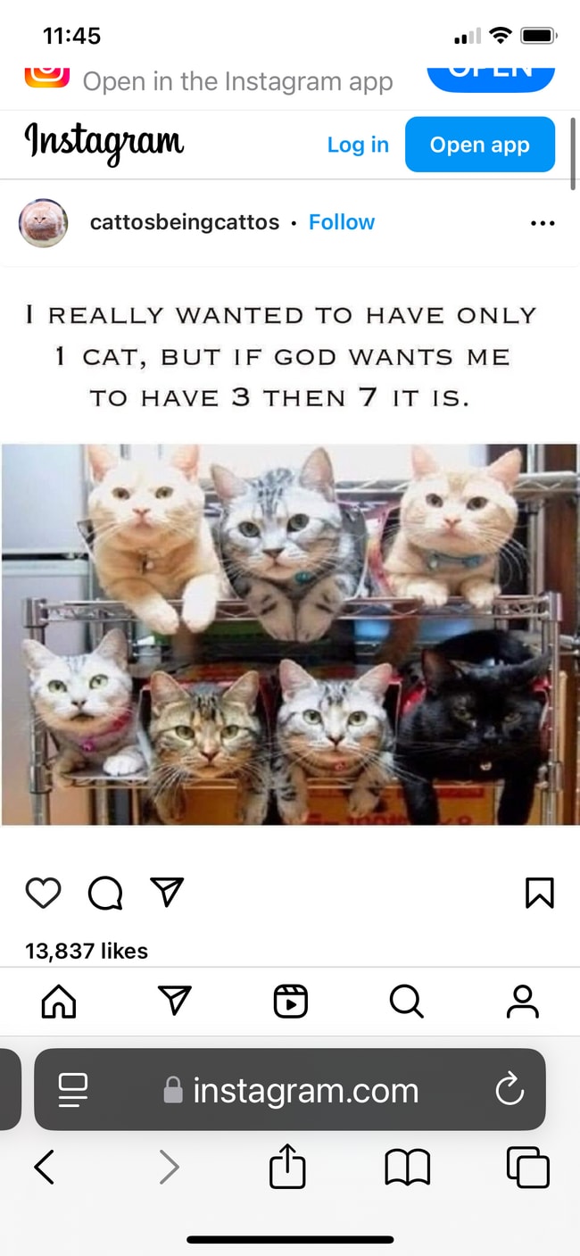 Building Photo - 204 Palisades Dr