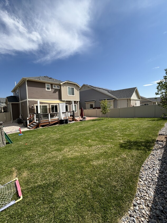 Backyard - 3648 Abbotswood Dr