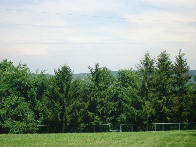 Foto del edificio - 841 Up Hill Rd