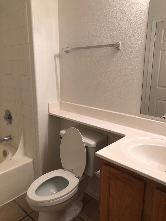 MASTER BATHROOM - 20100 N 78th Pl