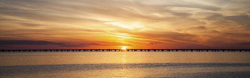 Picture of Mandeville