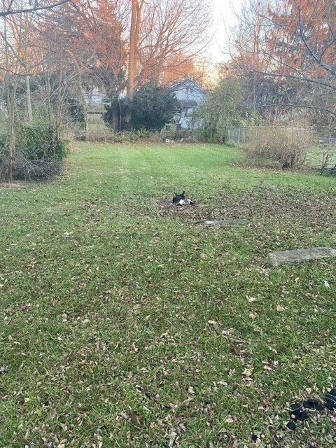 Back yard (not fenced in) - 1128 Gable St