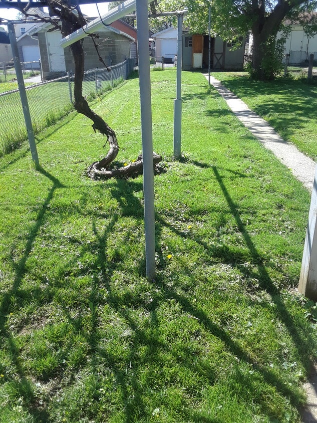 backyard view from the house - 3029 N 2nd Street