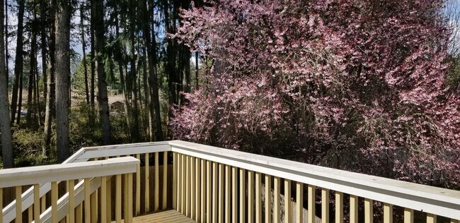Foto del edificio - 4 bedroom plus den, living room and family room. North Thurston School Disctrict.