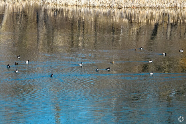 Miles of Trails Meander Through Forests, Grasslands, and Marshes in Eagan.