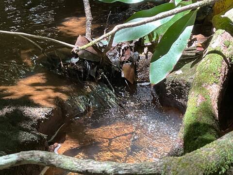 Building Photo - 1359 Camp Creek Rd