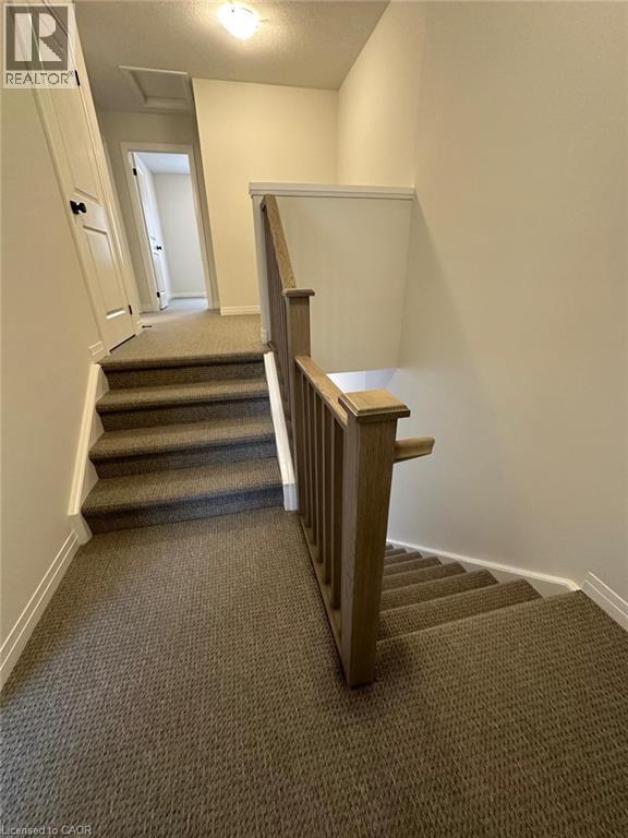 Photo du bâtiment - 155 Equestrian Way