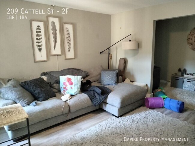 Foto del edificio - 209 Cattell St