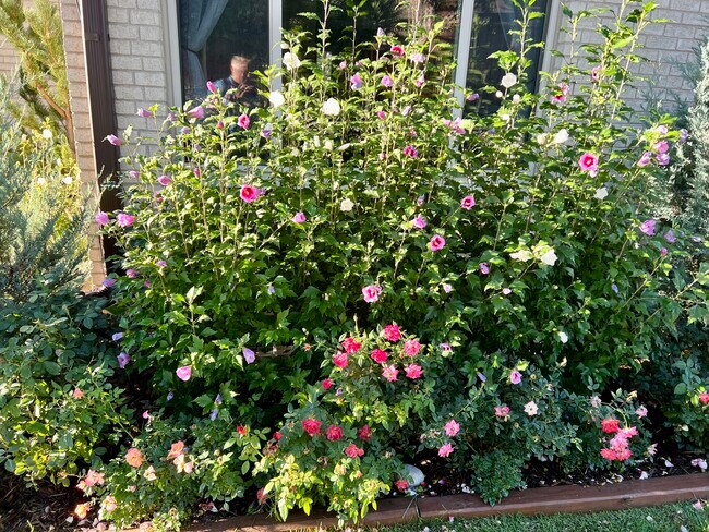 Foto del edificio - 4610 W Pondview Dr