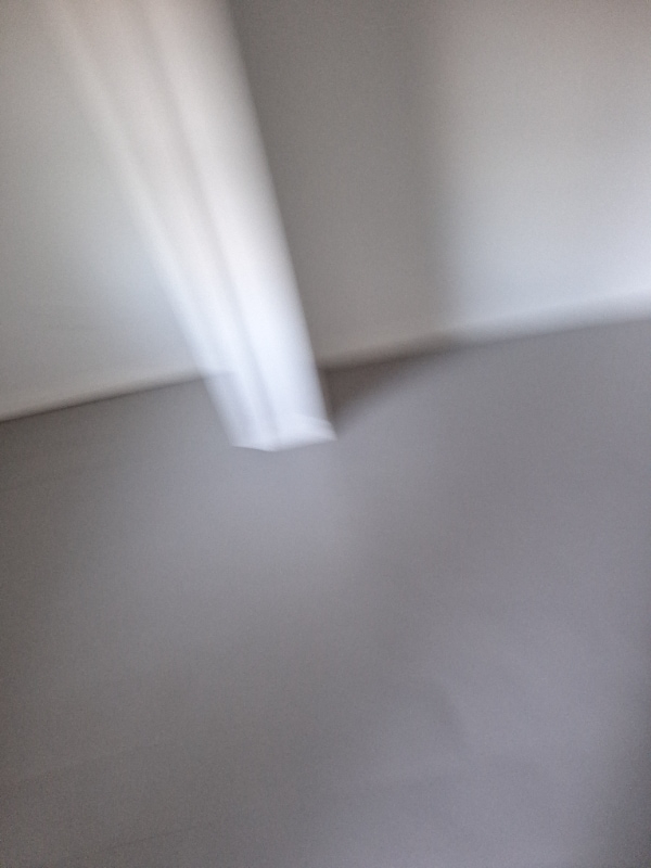 Photo - 1449 N Ronald Reagan Blvd House