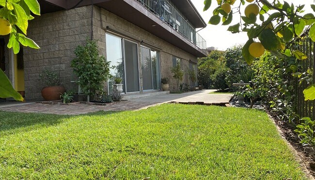 Yard and Patio off Livingroom - 2302 Earl St