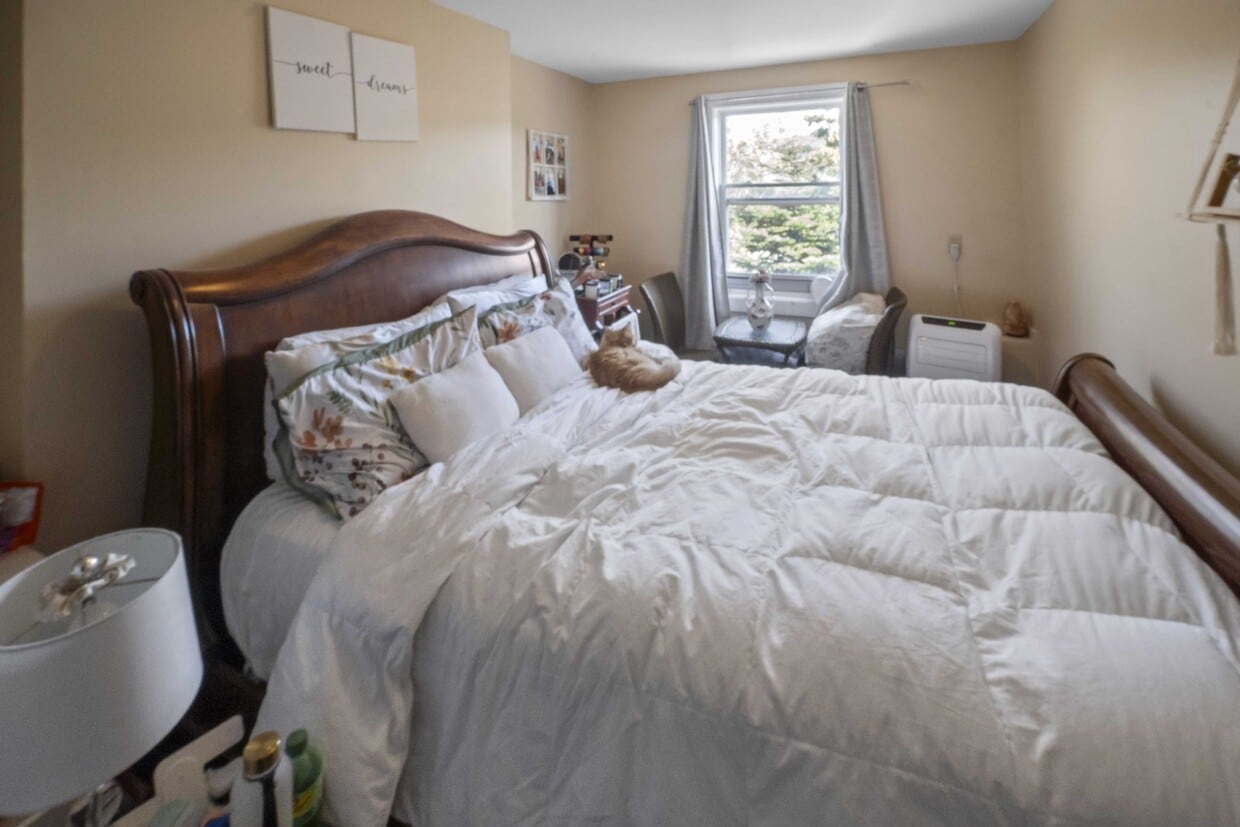 Primary Photo - 203 Gower St