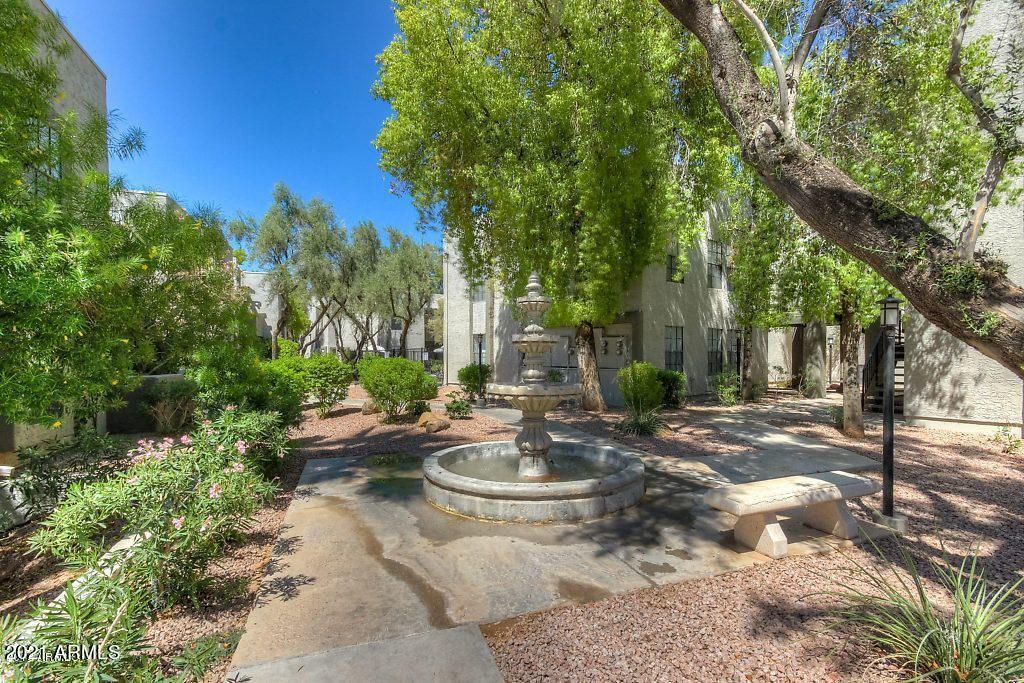 8020 Thomas Rd Unit 226, Scottsdale, AZ 85251 Apartment for Rent in