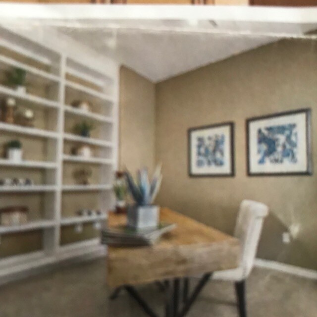 study with built-in book shelves - CAN BE USED AS BEDROOM - 4309 Clay Commons Ct