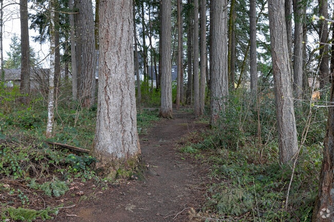 Residents can walk along the relaxed trails leading through Tranquil Park.