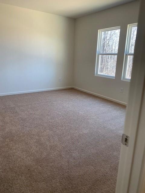 Building Photo - 4815 Minnow Ln