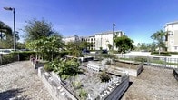This outdoor community garden space offers a well-organized and inviting environment for gardening enthusiasts. The garden features multiple raised wooden planting beds arranged in a structured layout, each bordered by decorative white picket fencing that adds a quaint, charming aesthetic to the overall design. The beds are filled with a variety of plants at different stages of growth, including leafy vegetables and other greenery, suggesting active, year-round cultivation.

The ground between the beds is finished with gravel pathways, providing practical and low-maintenance access throughout the garden. Decorative stone accents line some of the bed borders, adding visual interest and a personal touch to individual plots.

The garden is bathed in abundant natural sunlight, benefiting from an open, unobstructed sky that is characteristic of a warm, sunny climate. Mature trees frame the periphery of the space, offering partial shade and a natural backdrop. A multi-story residential building is visible in the background, suggesting this garden serves as a shared communal amenity. A street lamp positioned within the space indicates usability during evening hours, further enhancing the functionality of this well-appointed outdoor area.