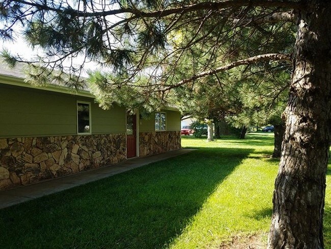 Well maintained lawn with shade - 209 Cannery Row